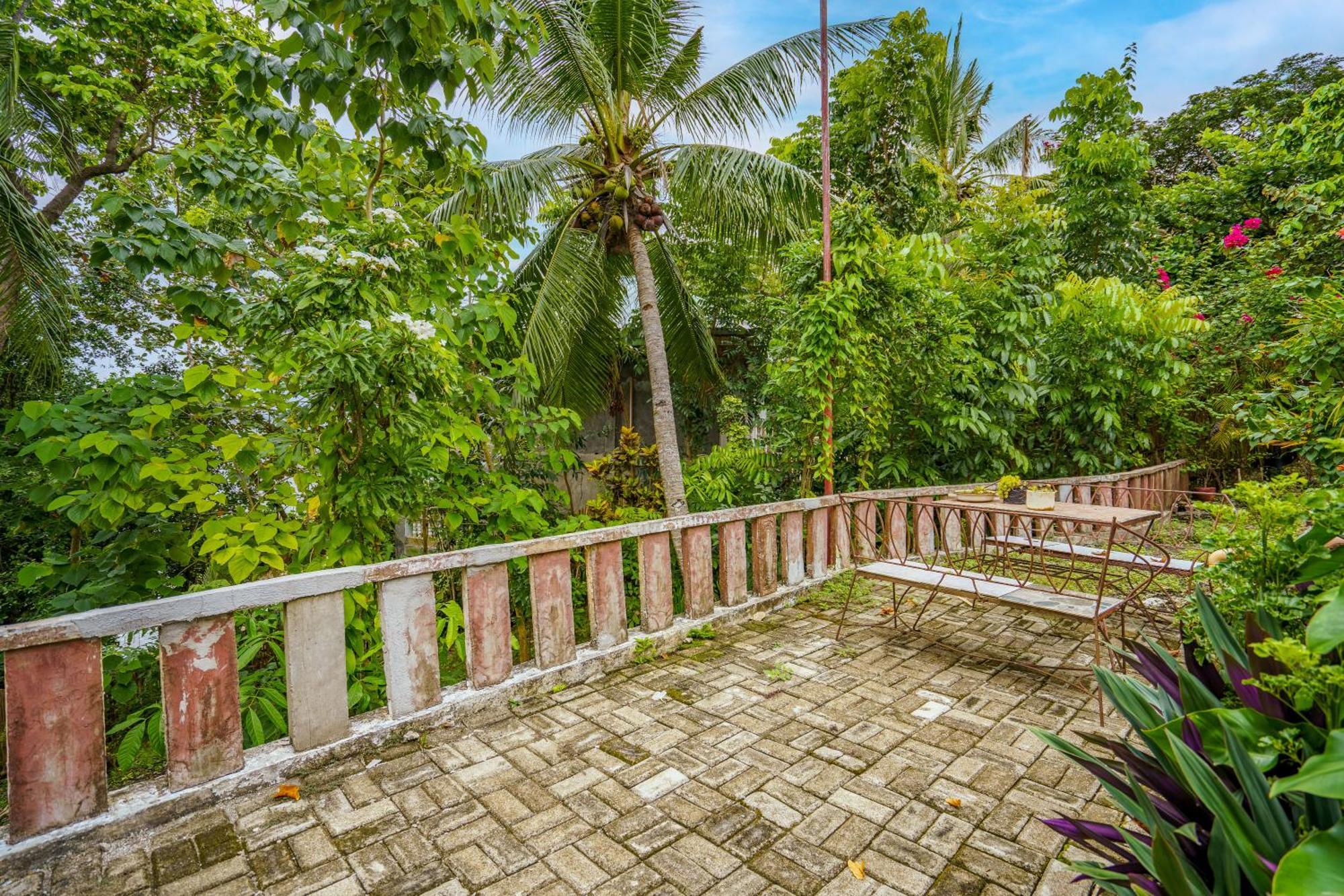 Weyh'S Studio #1 By The Ocean 100Mbps Panglao Exterior foto