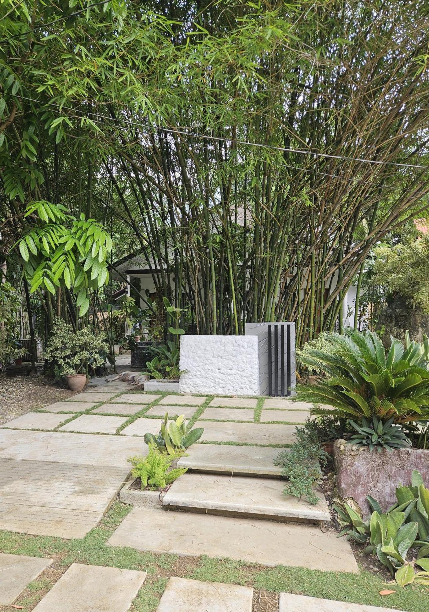 Weyh'S Studio #1 By The Ocean 100Mbps Panglao Exterior foto